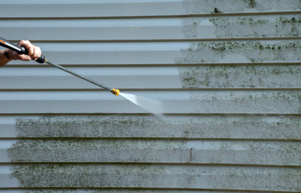 Best Mold Removal Process  in Saginaw, MI